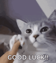 Start GIF